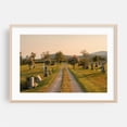 thumbnail image 1 of St. John Vianney Cemetery, Irasburg 02 - Irasburg Vermont Photography Rural Scenic Landscape Autumn Countryside Sunset Oak Framed Wall Art Print 16 x 24 inches, 1 of 6