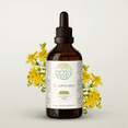 thumbnail image 1 of HerbEra Saint John's Wort Tincture, Herbal Dietary Supplement for Mood Support, Saint John's Wort (Hypericum perforatum) Dried Herb and Flower Extract, Natural, Alcohol-Free, Drops 4 oz, 1 of 8