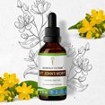thumbnail image 1 of St. John's Wort Tincture Alcohol Extract, Organic Saint John's Wort Hypericum Perforatum Positive Mood 2 oz, 1 of 7