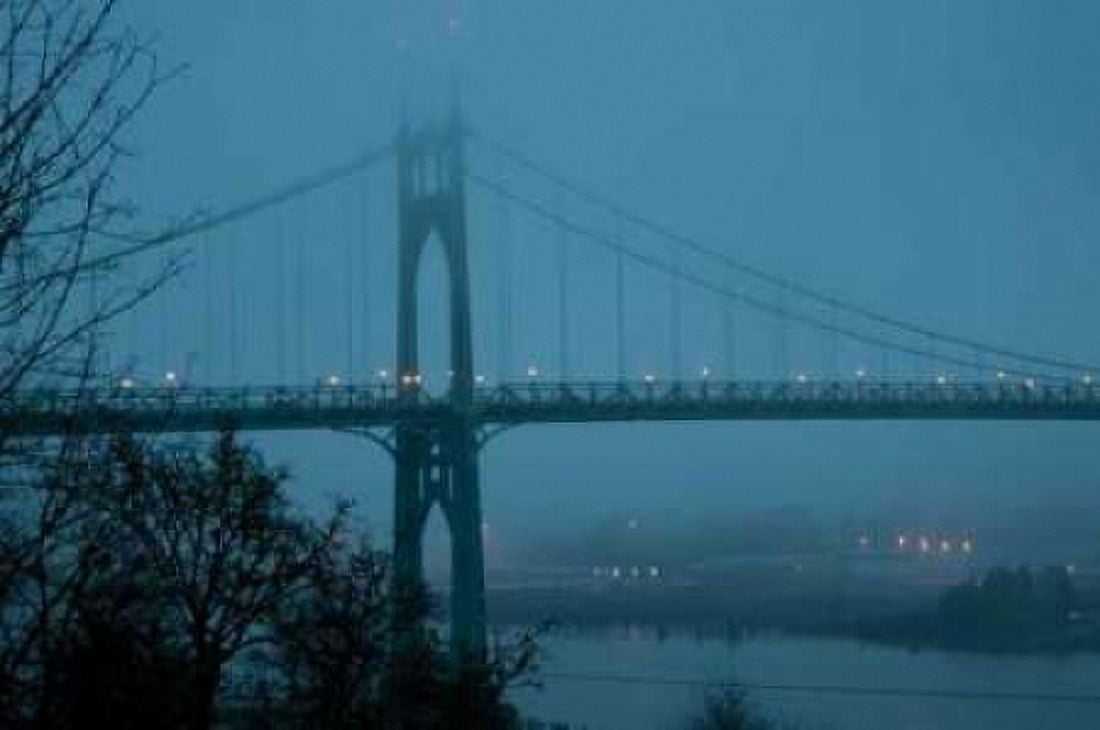 St Johns Bridge III Canvas Art - Erin Berzel (20 x 28)