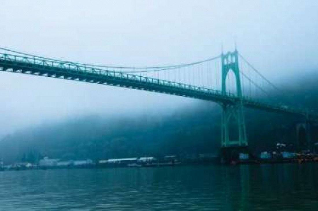 St Johns Bridge IX Canvas Art - Erin Berzel (20 x 28)
