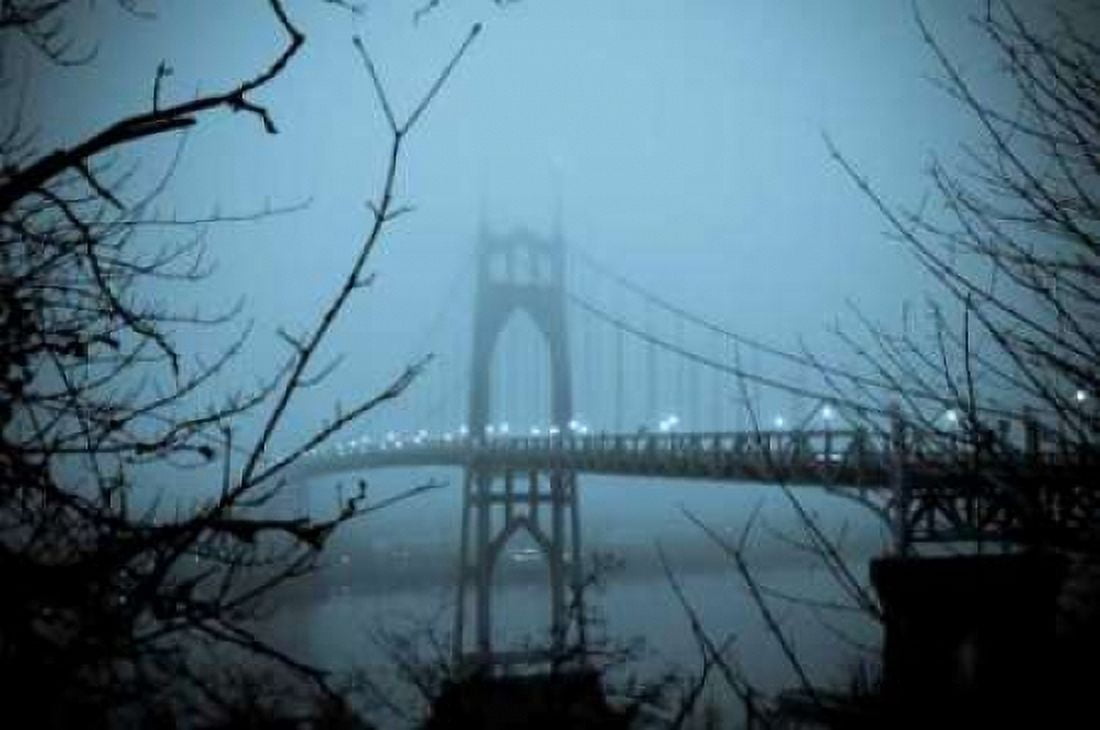 St Johns Bridge VIII Canvas Art - Erin Berzel (20 x 28)