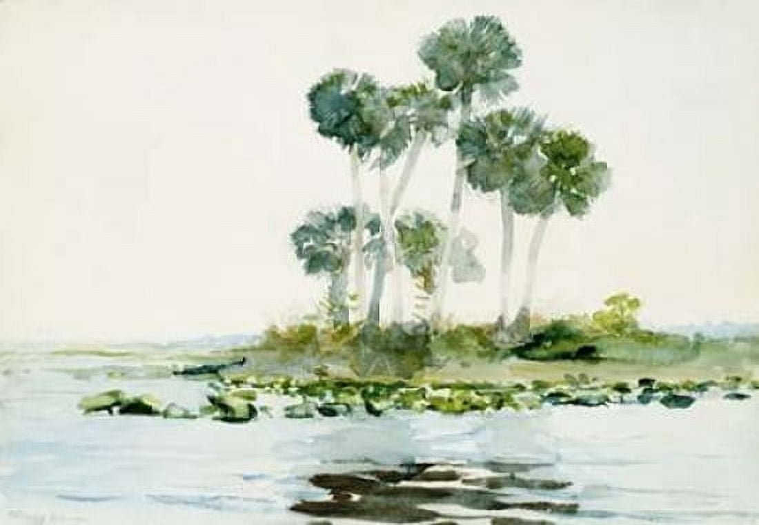 St Johns River Florida Canvas Art - Winslow Homer (20 x 28)