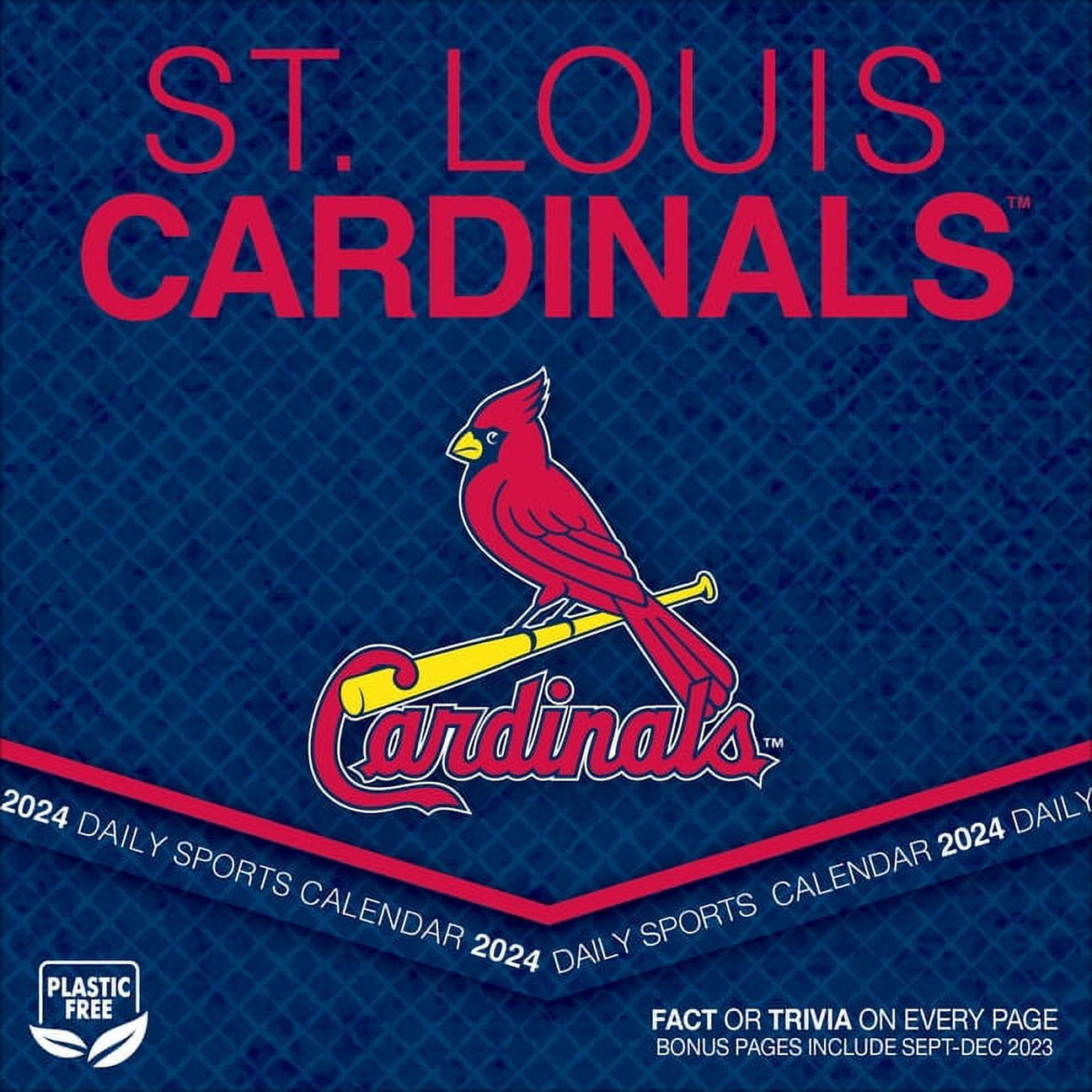 St Louis Cardinals 2024 Box Calendar (Other)
