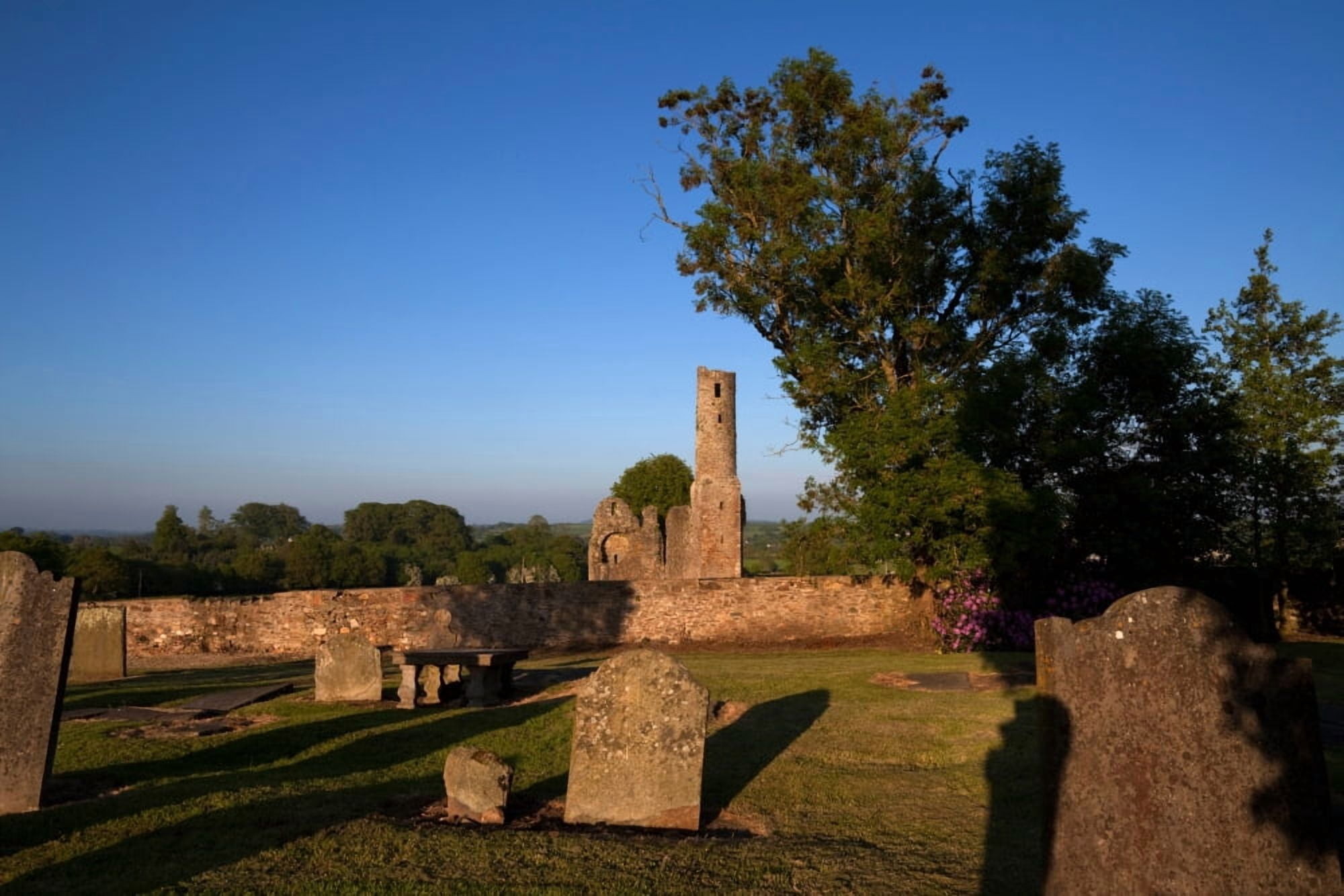 St Marys Augustinian Abbey Ferns County Wexford Ireland Canvas Art - Panoramic Images (36 x 12)