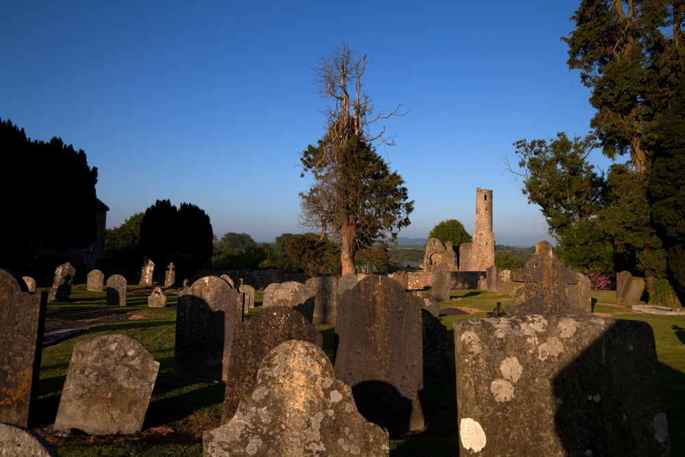 St Marys Augustinian Abbey Ferns County Wexford Ireland Canvas Art - Panoramic Images (36 x 12)