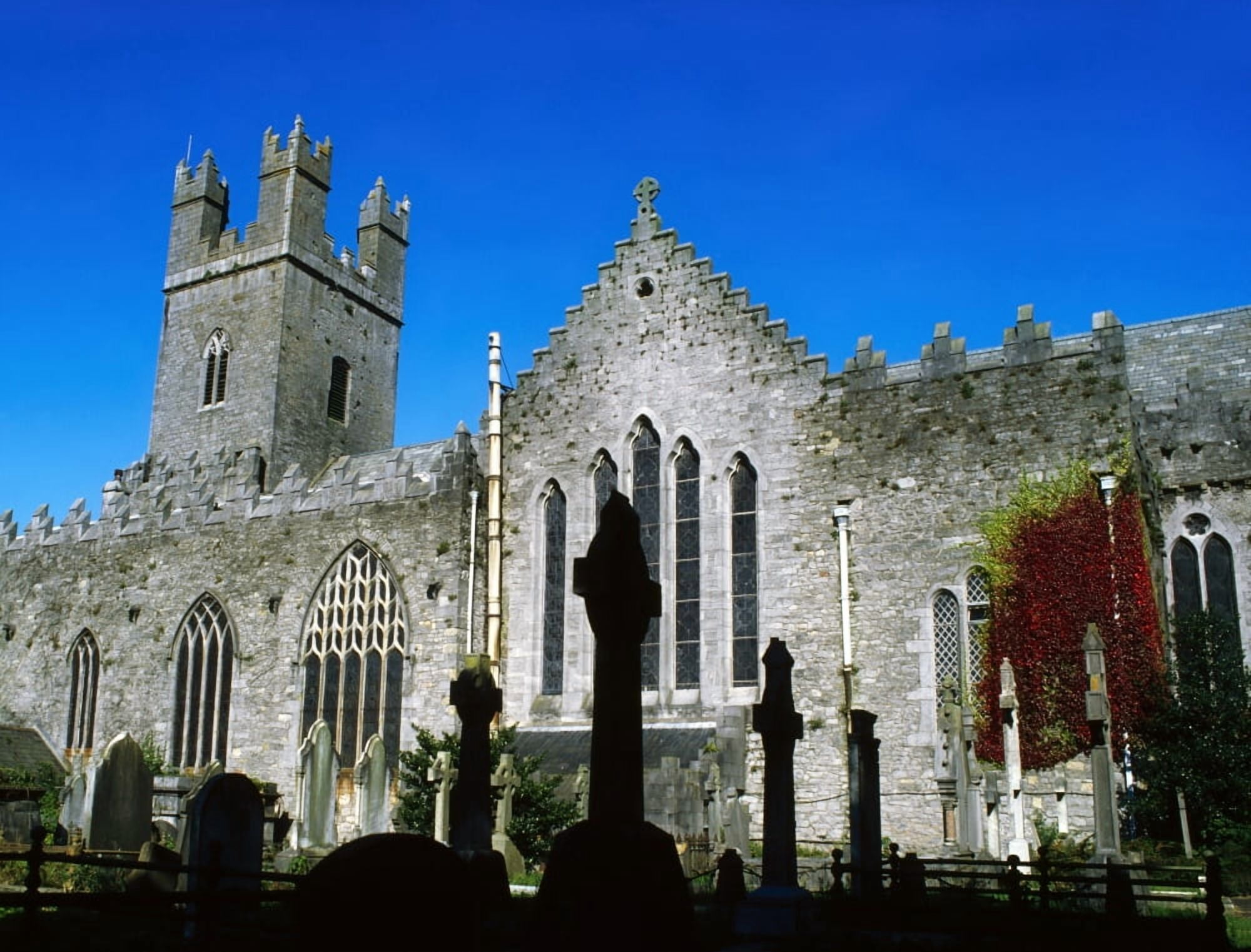 St Marys Cathedral Co Limerick Ireland Canvas Art - The Irish Image Collection Design Pics (17 x 13)