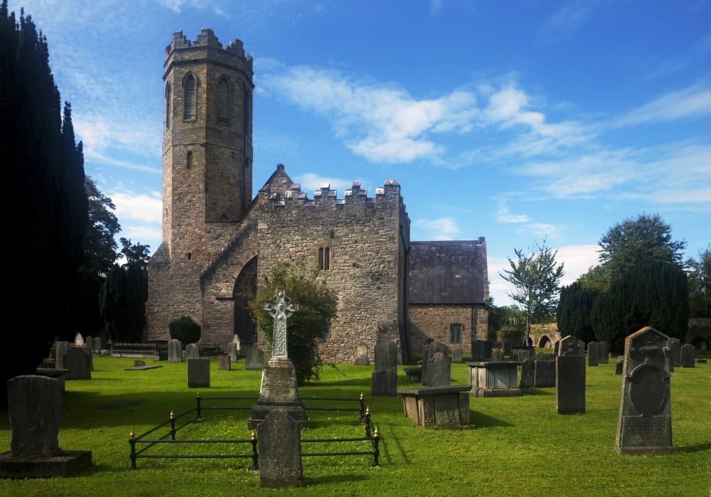 St Marys Church Clonmel County Tipperary Ireland Canvas Art - George Munday Design Pics (36 x 24)