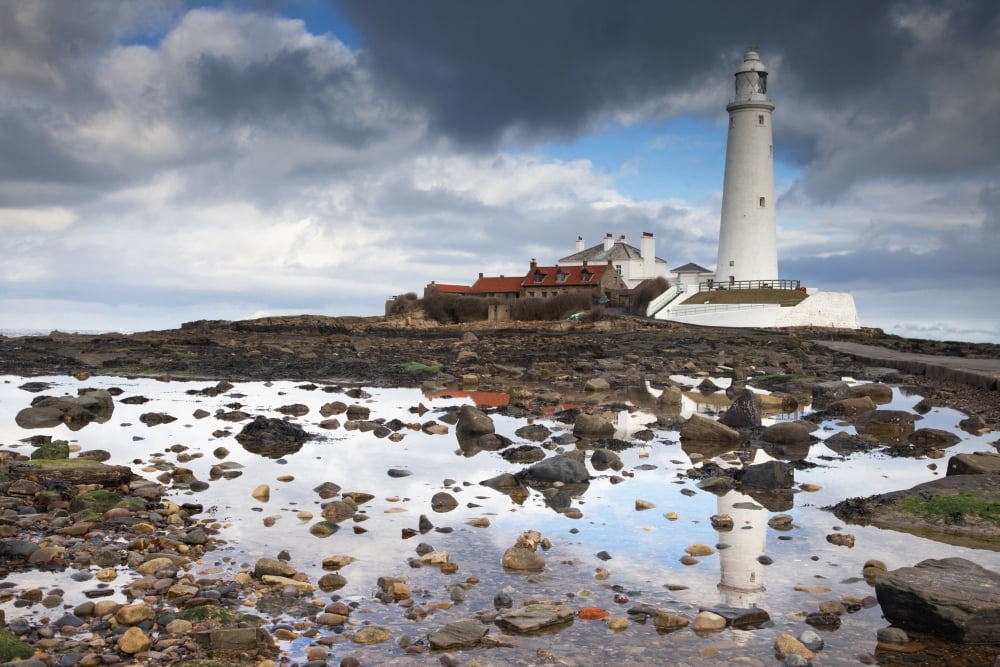 St Marys Island Northumberland England St Marys Lighthouse Canvas Art - John Short Design Pics (19 x 12)