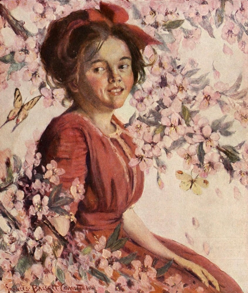 St Nicholas Magazine 38 Girl Canvas Art - Frances Bassett Comstock (24 x 36)