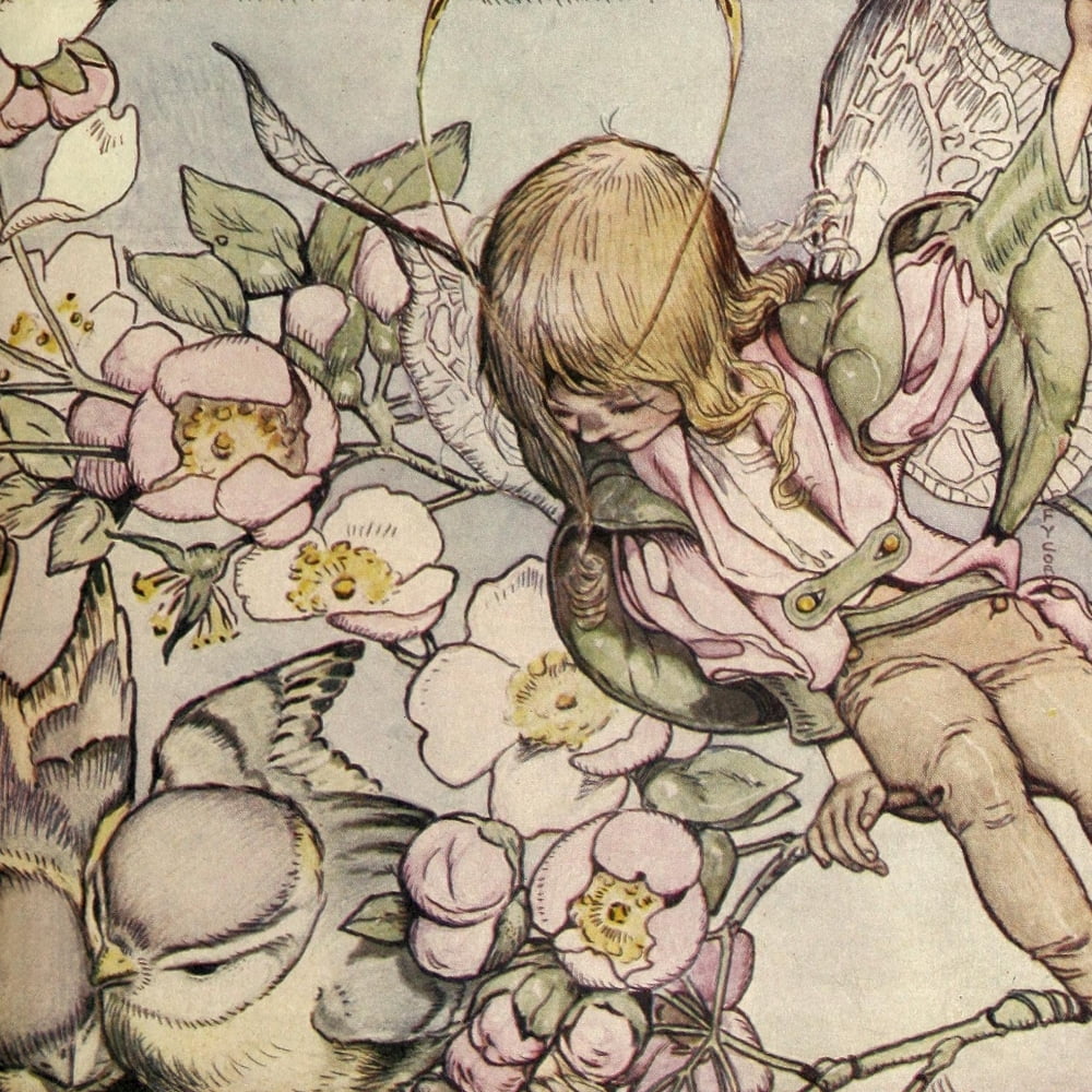 St Nicholas Magazine Fairy cover Canvas Art - Unknown (18 x 24)