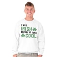 thumbnail image 1 of St Paddy Irish Before It Was Cool Unisex Plus Fleece Graphic Sweatshirt Brisco Brands 3X, 1 of 3