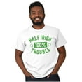 thumbnail image 1 of St Paddy's Half Irish All Trouble Plus Size Crewneck Graphic Tee Shirt Brisco Brands 2X, 1 of 3