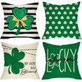 thumbnail image 1 of St. Patrick''s Day Decorative Throw Pillow Covers 18 x 18 Set of 4, Lucky Charm Shamrock Clover Stripes Cushion Case Decor, Not Lucky Just Blessed Irish Holiday Home Decoration for Sofa Couch, 1 of 5