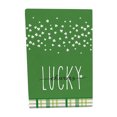 thumbnail image 1 of St.Patrick's Day Gnome Tea Towels, Cotton Kitchen Towel, Quick Drying Dish Cloth for Party Anniversary Holiday Decoration B, 1 of 6