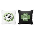 thumbnail image 1 of Ambesonne St Patrick's Day Throw Pillow Cover 2 Pack, Eat Drink Be Irish, 20", Charcoal Grey and Green, 1 of 2