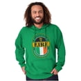 thumbnail image 1 of St Patricks Day Eire Ireland Flag Unisex Plus Fleece Graphic Hoodie Brisco Brands 4X, 1 of 5