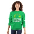 thumbnail image 1 of St Patricks Day Feeling Lucky Clover Sweatshirt for Men or Women Brisco Brands S, 1 of 6
