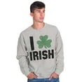thumbnail image 1 of St Patricks Day Irish Pride Shamrock Unisex Plus Fleece Graphic Sweatshirt Brisco Brands 2X, 1 of 4