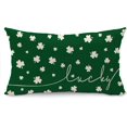 thumbnail image 1 of St Patricks Day Pillow Covers 12x20 Inch Happy St Patricks Day Lucky Green Clover Decor Throw Pillows Covers St Patricks Day Pillow Covers Decor Couch Living Room 52B, 1 of 6