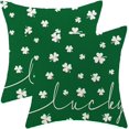 thumbnail image 1 of St Patricks Day Pillow Covers 18X18 Inch Pack of 2, Spring Lucky Clover Decor Throw Pillow Linen Green Shamrocks Pillow Cases Cushion for Bedroom Home Sofa Decorations, 1 of 5