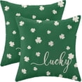 thumbnail image 1 of St Patricks Day Pillow Covers 20x20 Inch Set of 2 for Lucky Green Clover Decor Throw Pillows Spring Nature Plant Shamrock Outdoor Decorative Cushion Cases for Couch Bed Decorations, 1 of 6