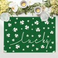 thumbnail image 1 of St Patricks Day Placemats Set of 2 Printed Table Mats Heat Resistant Stain Resistant Easy Clean for Kitchen Dining Table(J), 1 of 6