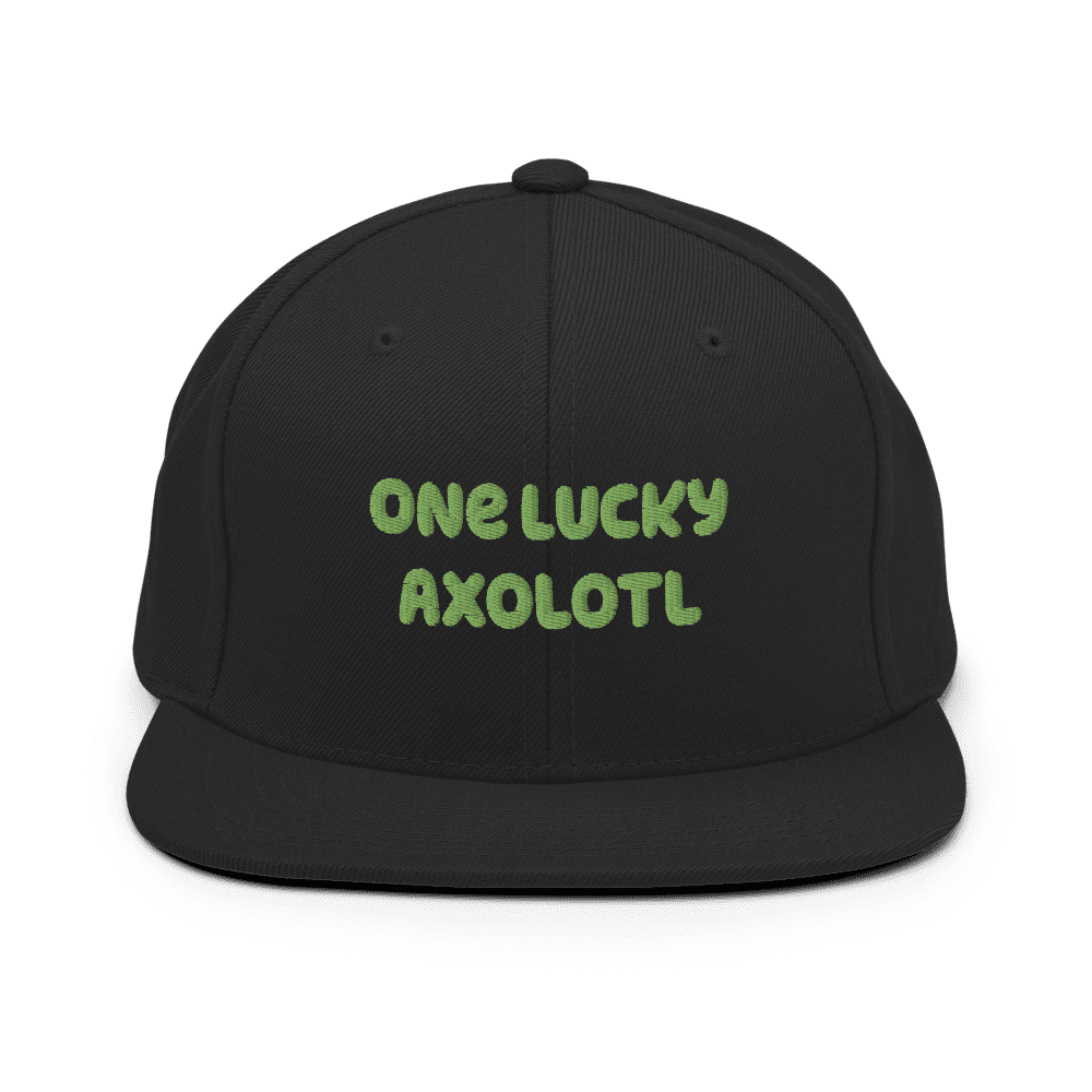 Chapeau réglable snapback noir trèfle Live Lucky Premium trèfle 110 Flexfit