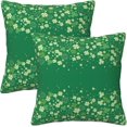 thumbnail image 1 of St. Patricks Day Throw Pillow Covers Set of 2 Soft Pillow Case Protectors with Zipper Standard Size Pillowcase Square for Bed, Sofa, Living Room, Outdoor (20"x20"), 1 of 6