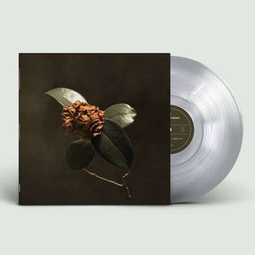 St. Paul & the Broken Bones - Young Sick Camellia - Music & Performance - Vinyl