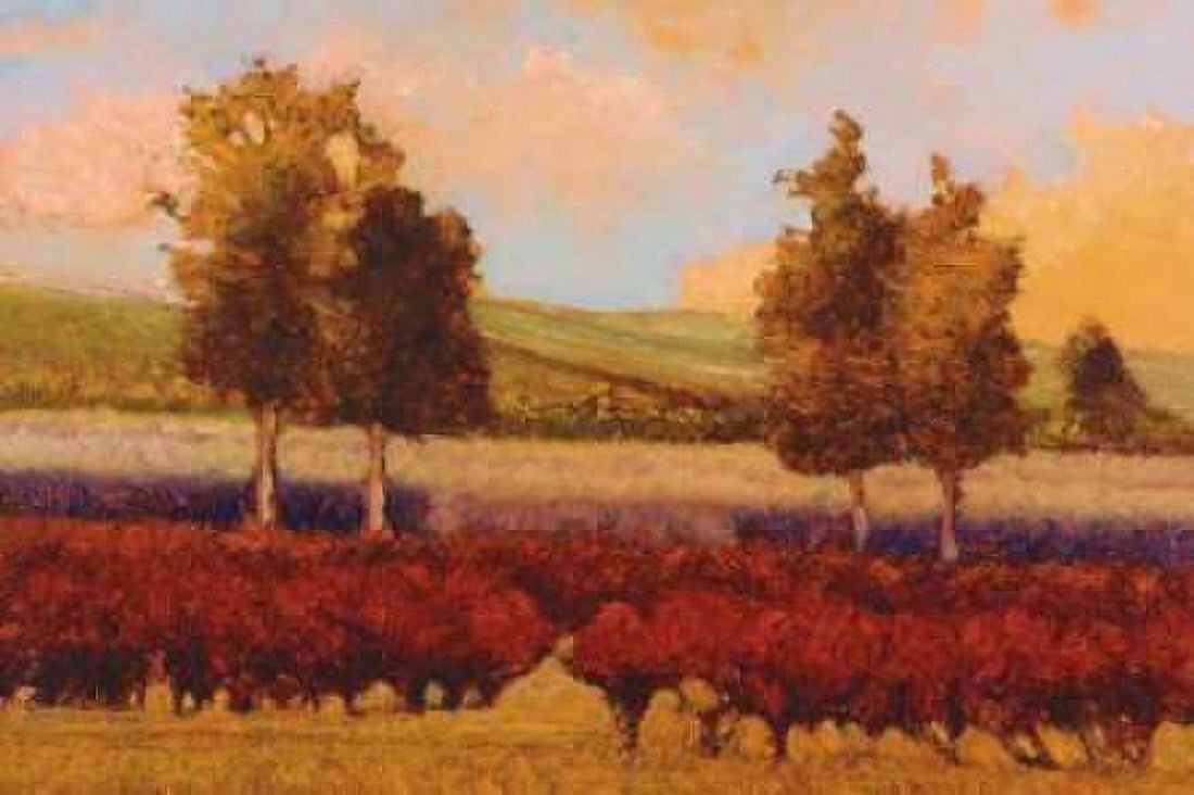 St Pierre Canvas Art - Kent Lovelace (12 x 18)