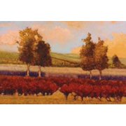 St Pierre Canvas Art - Kent Lovelace 12 x 18