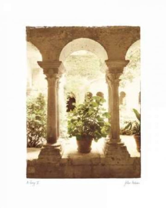 St Remy II Canvas Art - JoAnn T Arduini (18 x 24)