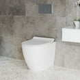 thumbnail image 1 of St. Tropez Back to Wall Concealed Tank Toilet Bowl Bundle in Glossy White, 1 of 14