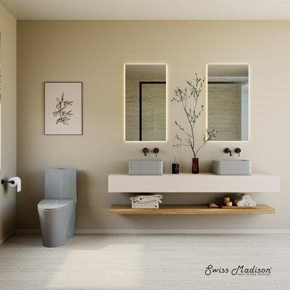 St. Tropez One-Piece Elongated Toilet Vortex Dual-Flush 1.1/1.6 gpf in Glossy Grey