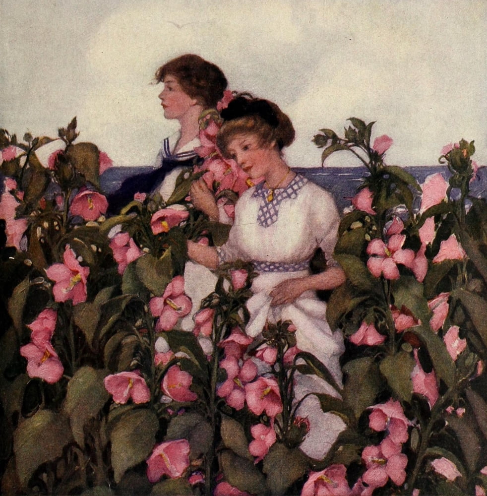 StNicholas cover 1911 Ladies and flowers Canvas Art - Unknown (18 x 24)