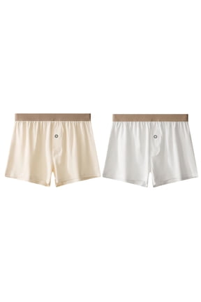 2 Pack Mens Boxer Underwear Solid Color Breathable Workout Underwear Lightweight Comfy Soft Underpants