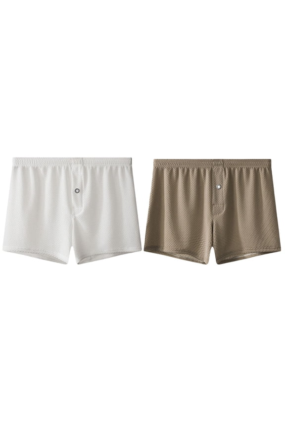 2 Pack Mens Boxer Underwear Solid Color Lightweight Textured Briefs Underwear Soft Breathable Underpants