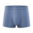 thumbnail image 1 of StSilkitty Men's Seamless Boxer Underwear Mid Waist Stretch Breathable Briefs Lightweight No Riding up Underpants, 1 of 8