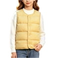 thumbnail image 1 of StSilkitty Puffer Vest for Boys Girls Sleeveless V Neck Button down Jacket Coat Fall Winter Warm Outerwear with Pockets, 1 of 8