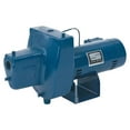 thumbnail image 1 of Sta-Rite 4025646 1 HP 1650 GPH HN Series Cast Iron Shallow Jet Well Pump, 1 of 1