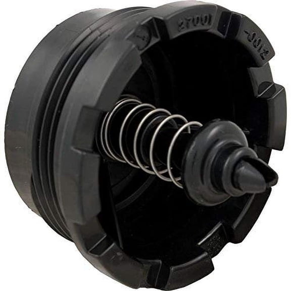 Pentair 27001-0130S Spring Check Valve Replacement Sta-Rite Pool/Spa D.E. and Cartridge Filter