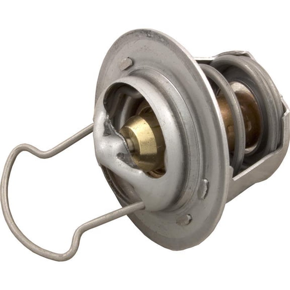 Pentair Thermal Regulator for Max-E-Therm-MasterTemp 38000-0007S