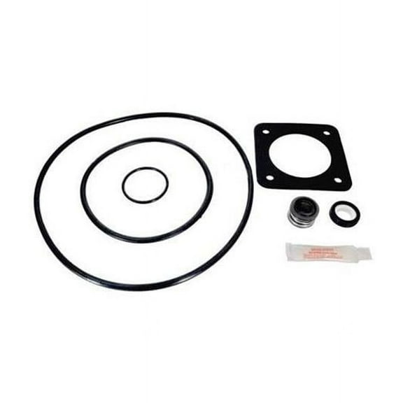 Sta Rite Repair Seal Kit