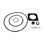 Sta Rite Repair Seal Kit