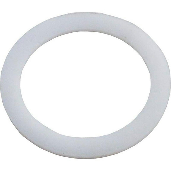 Sta-Rite Replacement Washer 14971-SM10E8