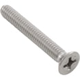 thumbnail image 1 of Screw, Main Drain Grate, Pentair StarGuard, Quantity 2, 1 of 3