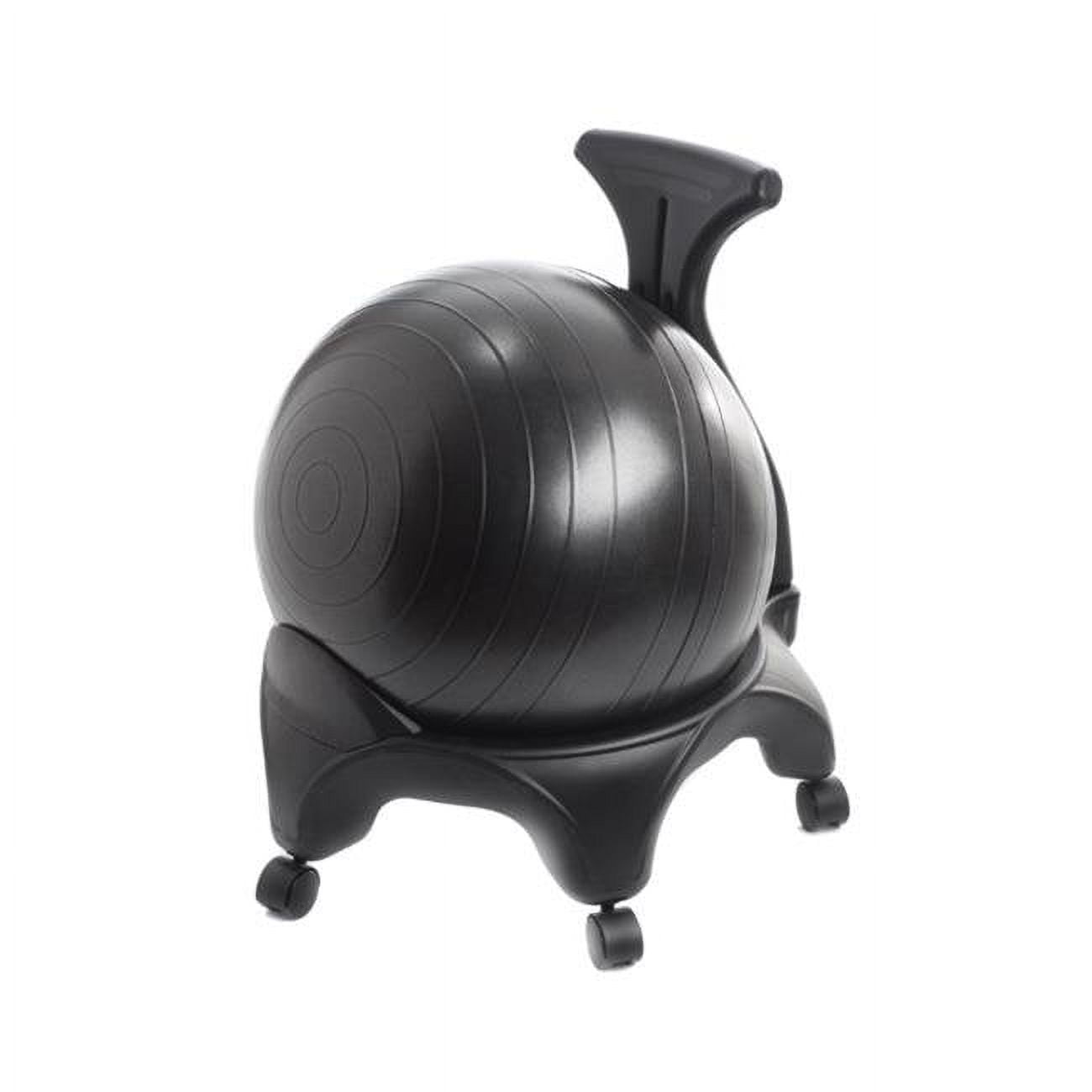 Stability Ball Chair
