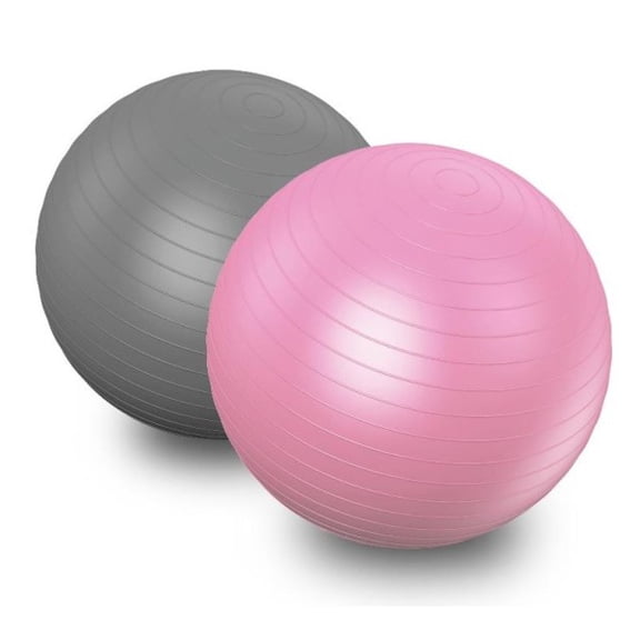 Stability Ball for Core Strengthening, Tone Your Core, Glutes, Legs and Arms, 2-Pack Pink & Grey