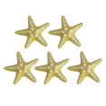 thumbnail image 1 of Stable Grip Hair Clip 5pcs Girls Hairpin Set with Starfish Shape Hair Clip Stable Grip Macaron Colors Trendy Summer Hair for Beach for Women, 1 of 8
